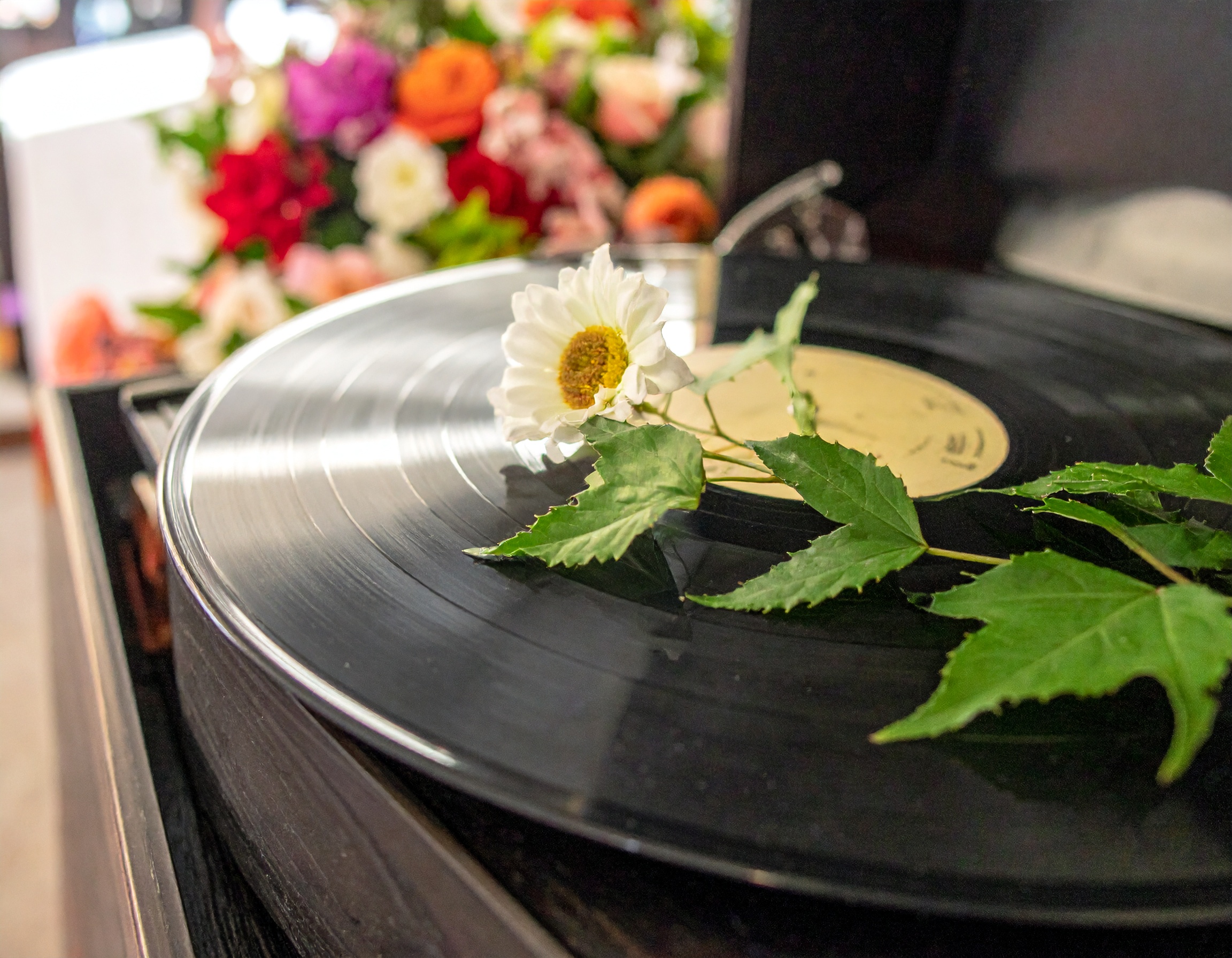 【お葬式スライドショー】泣ける邦楽バラード20選｜美空ひばり・小田和正